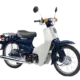 C50
