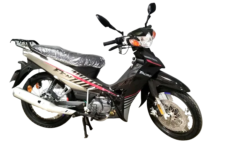 FÉNIX-110