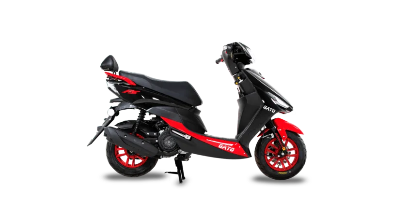 Pasola FS150