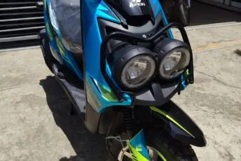 BWS 175